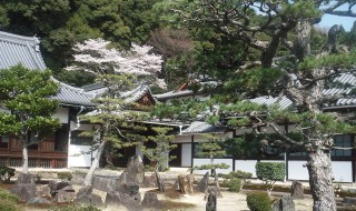 京都　宇治　興聖寺