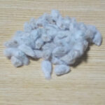 昨年収穫した綿の種