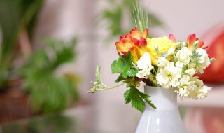 お花と花瓶