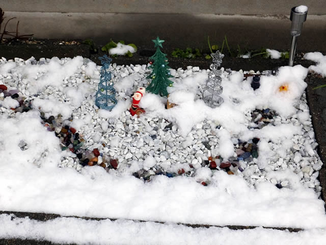 我が家の庭「雪が降りました（2014/12/18）」
