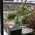家の庭「今日も雪が降っています（2015/1/2 AM10時頃）」