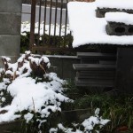 家の庭「今日も雪が降っています（2015/1/2 AM10時頃）」