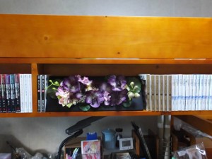 部屋の模様替え-後「木製ロフトベッドの本棚部分（2016/7/16）」