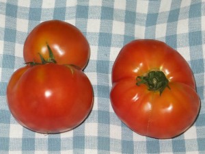 ひょうたん型トマト